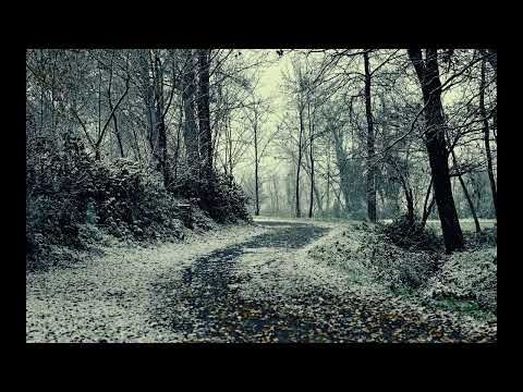 Daniel Blomqvist - Atmosfär