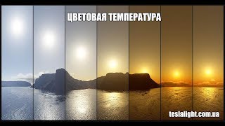 Ссылка