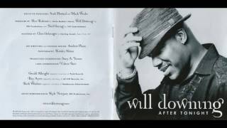 Will Downing -After Tonight -Satisfy You