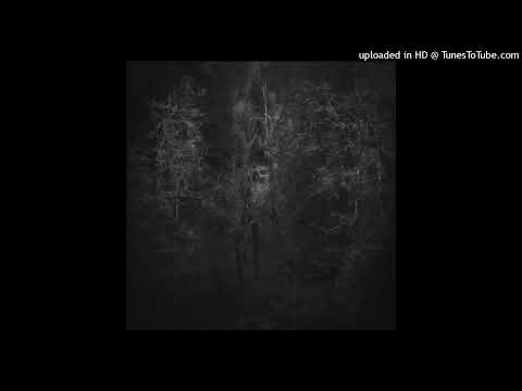 Rafael Anton Irisarri — Hubris