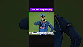 jadeja takes an impossible catch 🤯🤯#cricket #shortsfeed #video 