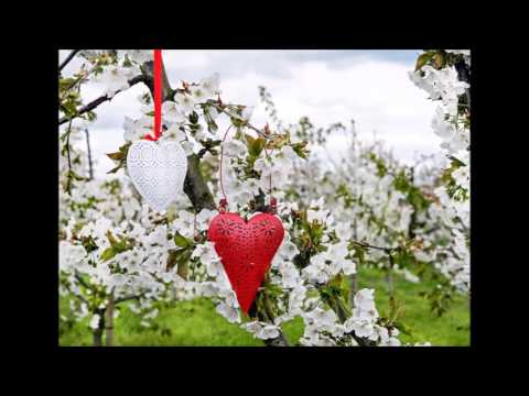 Wochenorakel vom  07. bis 13.November  2016