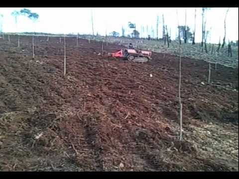 Souto concluido , Vale Nogueira , Sobrados