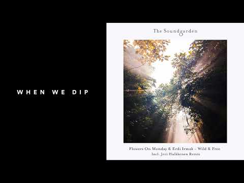 Premiere: Erdi Irmak & Flowers on Monday - Colors [The Soundgarden]