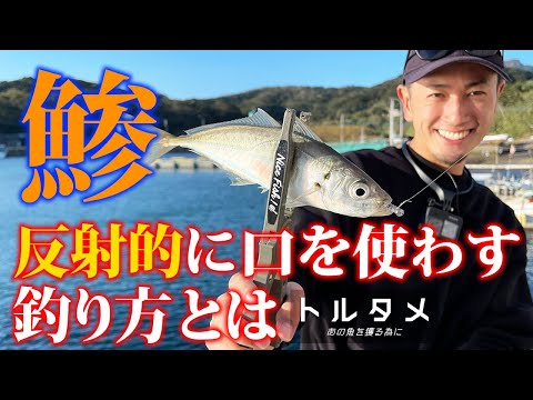 アジが思わずバイトするリアクションの釣りとは / 《トルタメ #7 》