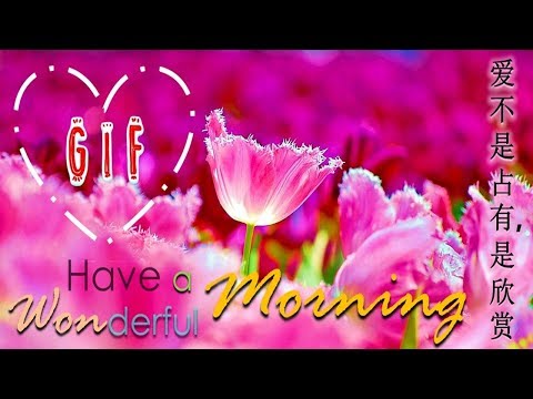 Good Morning Gif Chinese Wish Video