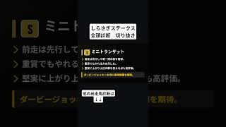 ミニトランザット　しらさぎステークス　全頭診断