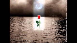 quiero que canten con migo bachata