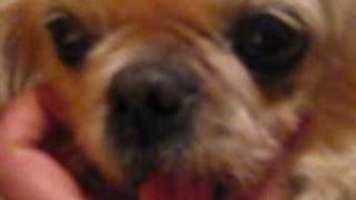 Para Hermenegilda,  ERES BELLISIMA de ENRIQUE BUNBURY