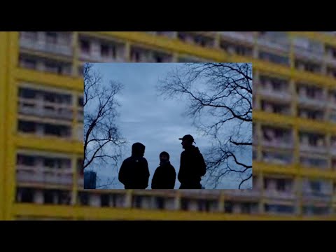 Náhled pro video reference