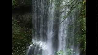 Tu Presencia - René González