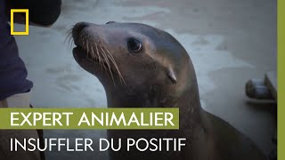 Cette otarie n'écoute pas les indications de sa soigneuse | UNE SAISON AU ZOO