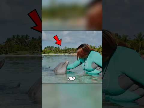 Delphin trainiert einfach seine Trainer…