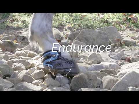 Explora boot - Easy-on hoof boot
