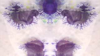 Sigur Rós - Brennisteinn   A. )o(o (videomesh)