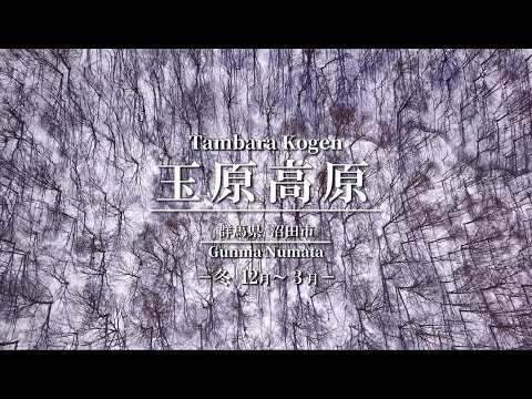 玉原高原　－冬 １２月～３月－