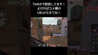 アイソ環境でチェンバーOTPの男、アイソとの激闘ハイライト【2日目】
