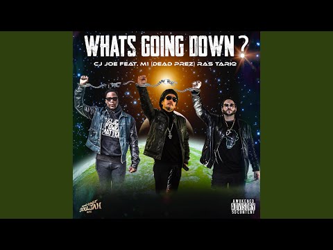 What's Going Down? (feat. M1 Dead Prez & Ras Tariq)