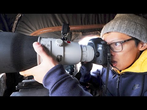 Canon 600mm f/4L II Hands-on + NAT GEO Wild!