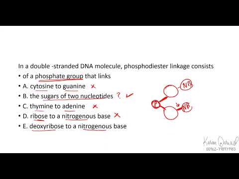 Biology 101 - Chapter 5 Past Papers