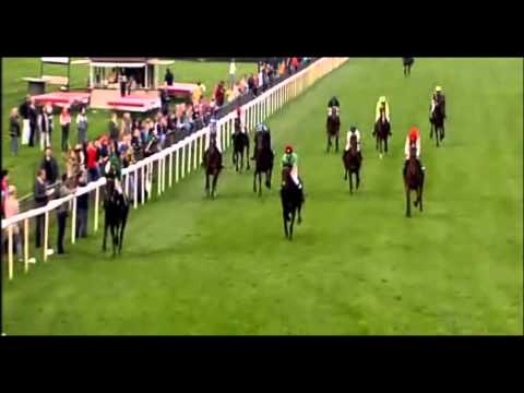 Reitpferderennen Hannover 21.09.14