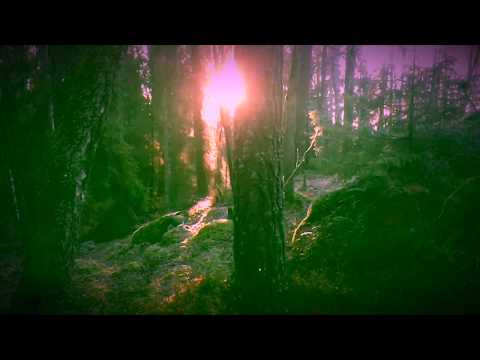 Flyagaric Forest - Fog After Rain  [Mystic Sound Records]
