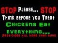 What Chickens Eat Environment For Free Range Chickens