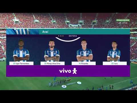 Avaí 0 x 3 Flamengo | Melhores Momentos | Brasileirão COMPLETO