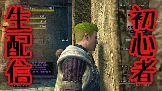 ［ドラゴンズドグマオンライン］初心者まったり生配信！ストーリー第一期最終回！質問コーナーの質問募集中！