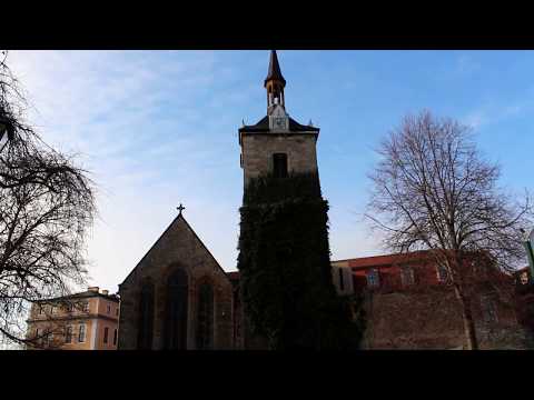 D.Aguado Rondo op.2 n.1 in E, Classical Guitar - Tal Hurwitz