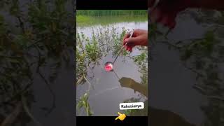 Download lagu Essen yang Lagi Viral #shorts mp3 Download lagu Essen yang Lagi Viral #shorts mp3