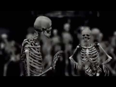 ESQUELETO Loquendo #1