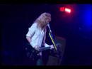 Megadeth - She Wolf 