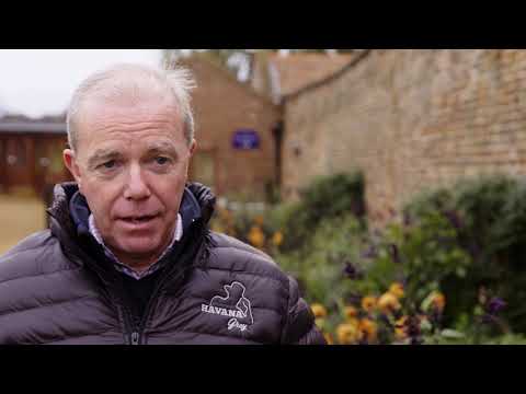 Havana Grey New For 2019