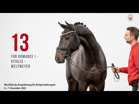 Westfälische Hauptkörung 2022 Reitpferde: Kat.Nr. 13  For Romance I  -  Vitalis  -  Weltmeyer