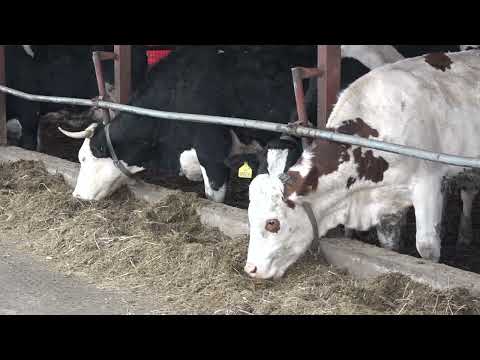 Naša priča 19.04.2019. NAJAVA