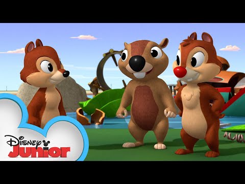 Dale's New Pal | Mickey Mouse Mixed-Up Adventures | @Disney Junior