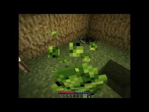 TerraFirmaCraft E1: New Beginings