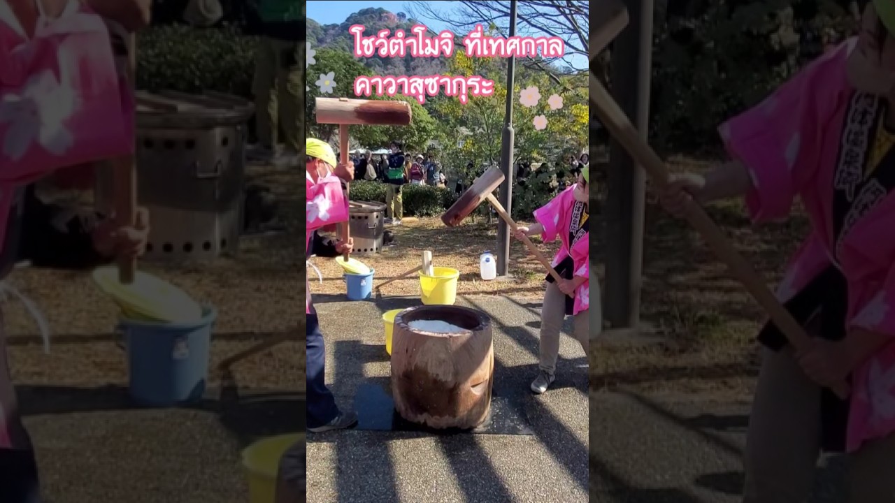 โชว์ตำโมจิ แจกผู้มาร่วมงาน คาวาสุซากุระ #travel #คาวาสุ#ซากุระ#ญี่ปุ่น #เที่ยวญี่ปุ่น