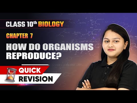 Chemical Reactions and Equations Quick Revision Class 10 Chemistry Chapter 1 CBSE 2024 25
