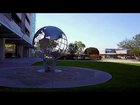 The Awty International School