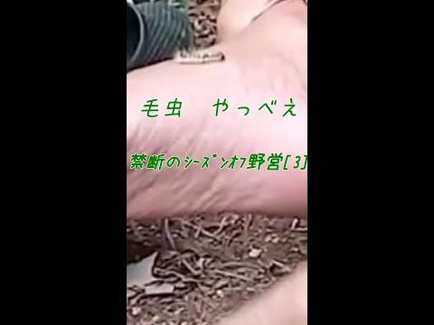 騒乱、取り壊し、立ち入り禁止: ジャングルキャンプは火薬庫と化す