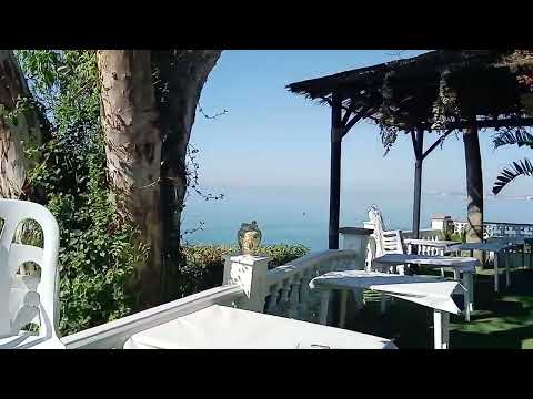 la viborilla venue sea viee