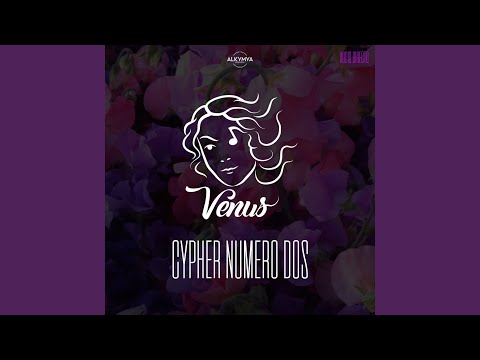 Cypher Nº2 Venus