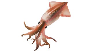19初めてのスプラトゥーン