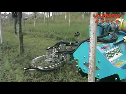 Zanon Trinciasarmenti IT TESTATE