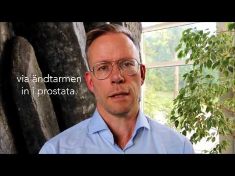 Har du koll på prostatacancer? Fem vanliga frågor om PSA-prov och prostatacancer