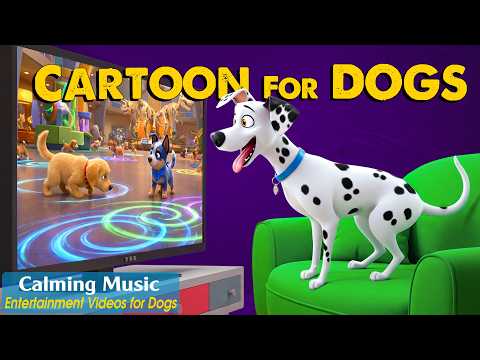 Dog Cartoon: Ultimate Dog TV for Dogs to Watch Home Alone – Relaxing Music for Dogs & Stress Relief