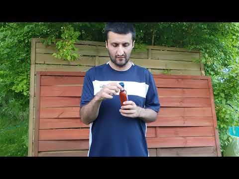 Czerwony Pingwin Degustacja Encona