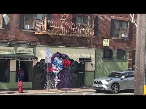 MINEOLA BOULEVARD Mineola NY